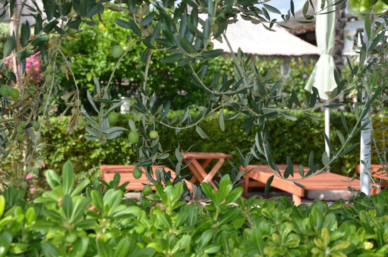 Villa Katarina 斯里马 外观 照片